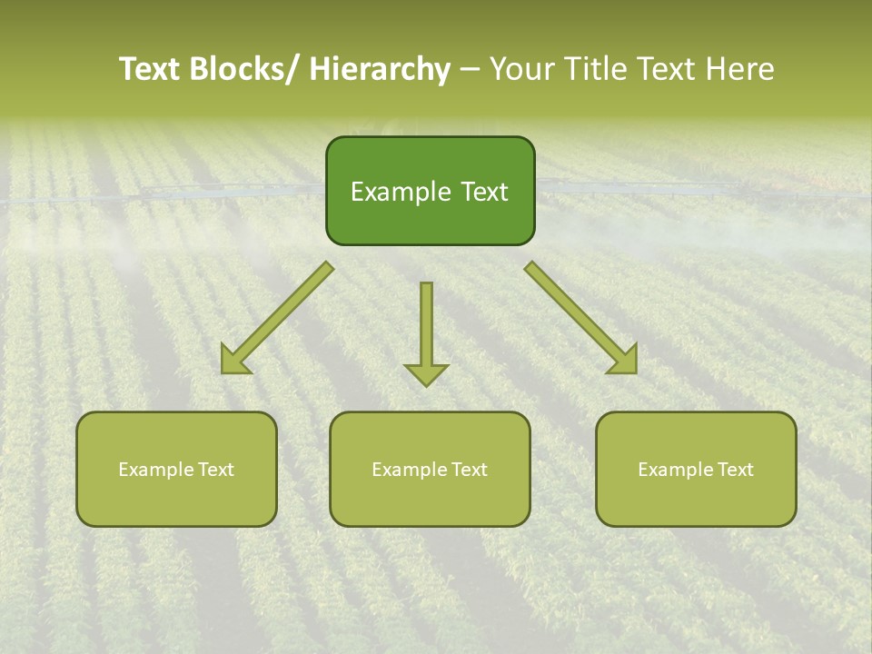 Farm Pesticides PowerPoint Template