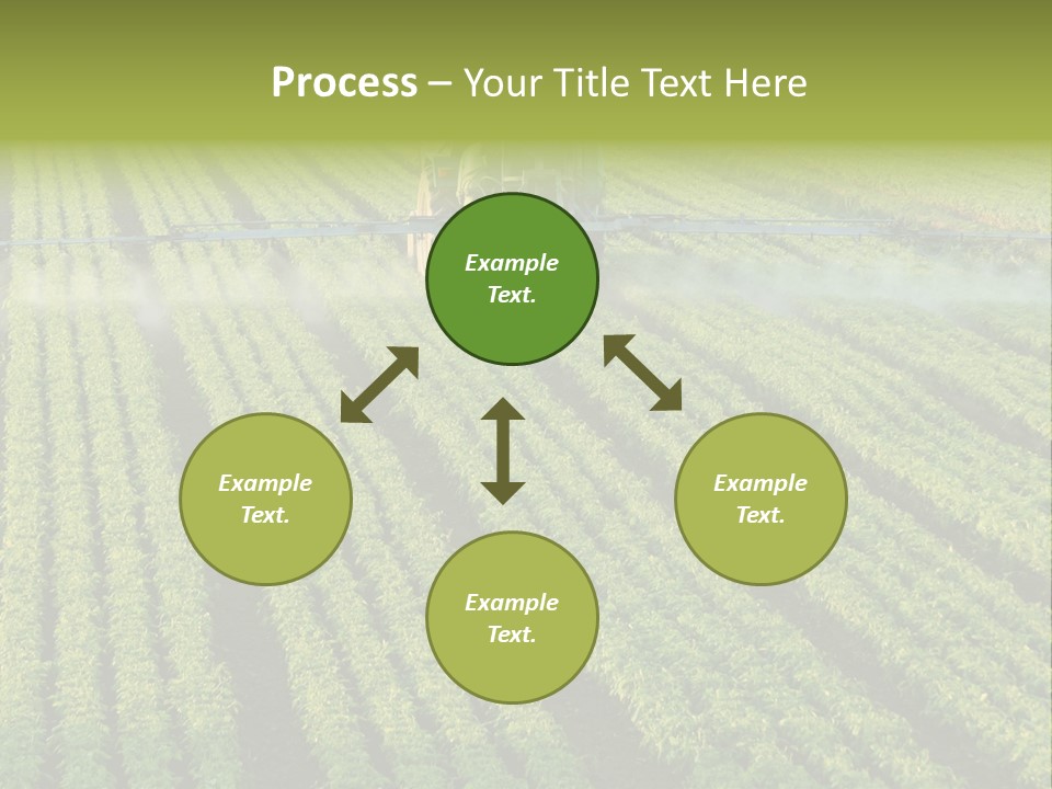 Farm Pesticides PowerPoint Template