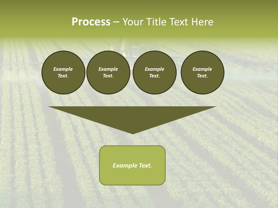 Farm Pesticides PowerPoint Template