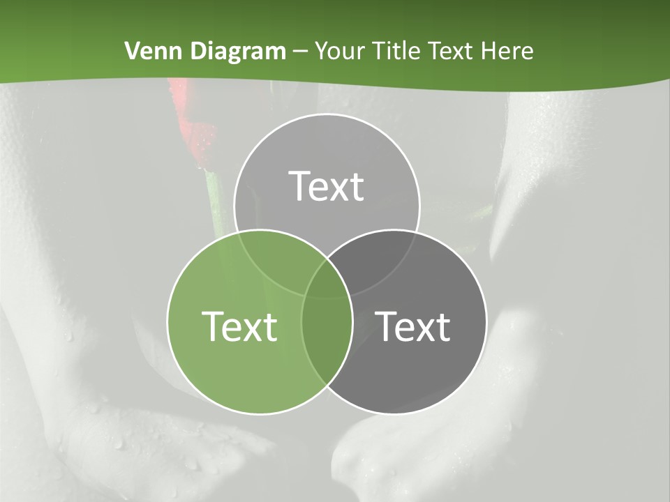 Treatment Freshness Dream PowerPoint Template