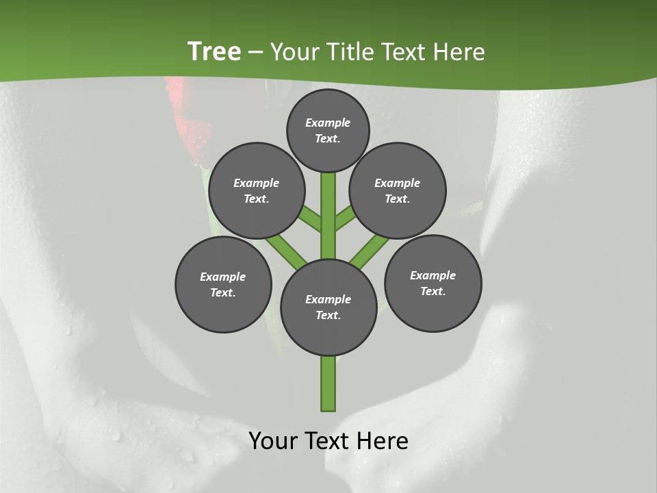 Treatment Freshness Dream PowerPoint Template