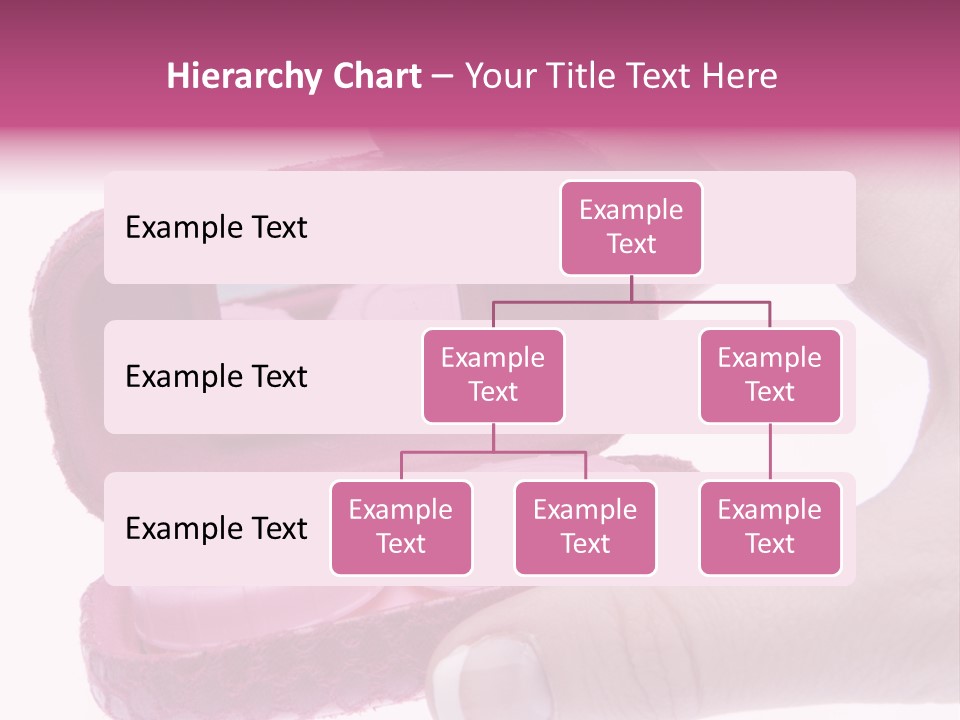 Contact Lens Case PowerPoint Template