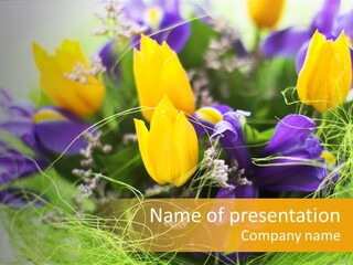 Florist Blue Violet PowerPoint Template