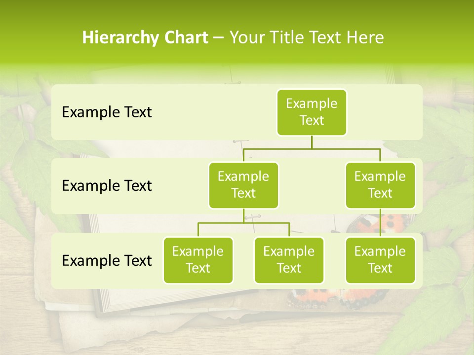 Book Decoration Retro PowerPoint Template