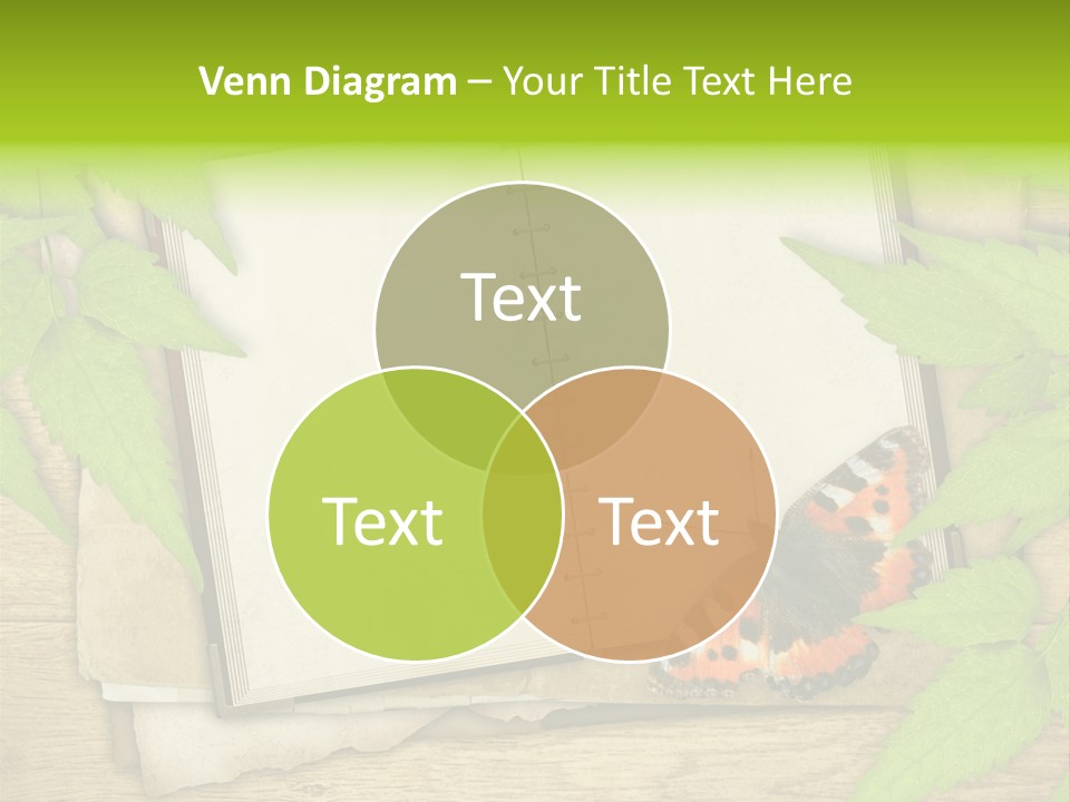 Book Decoration Retro PowerPoint Template