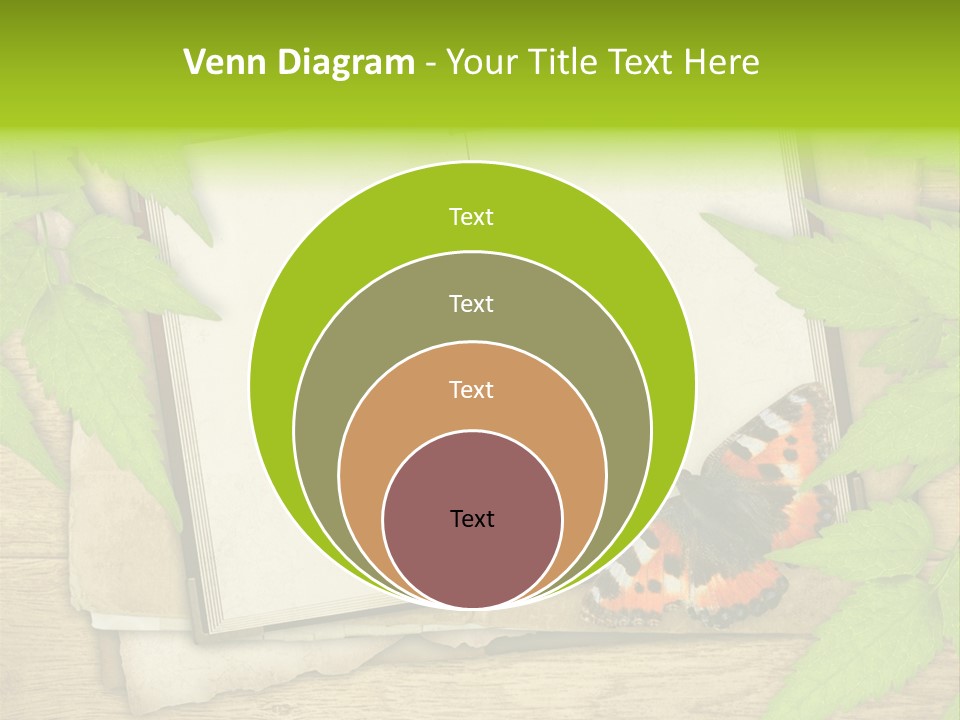 Book Decoration Retro PowerPoint Template