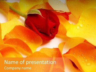 Beauty Flowers PowerPoint Template