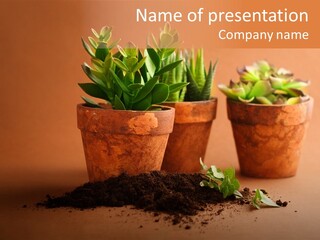 Diy Souvenir PowerPoint Template