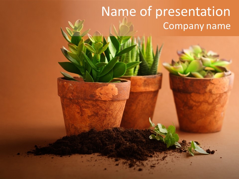 Diy Souvenir PowerPoint Template