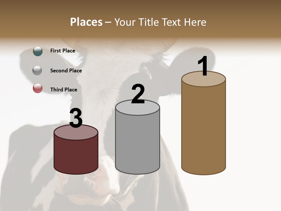 Google Images Animals PowerPoint Template