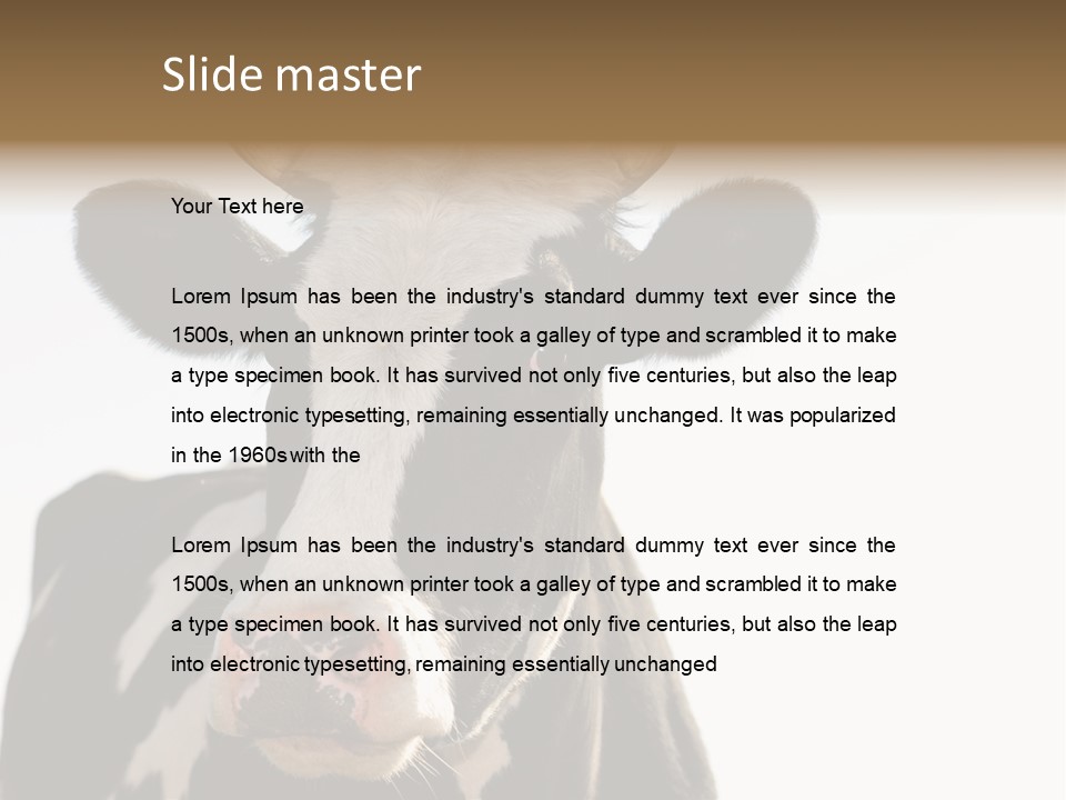 Google Images Animals PowerPoint Template