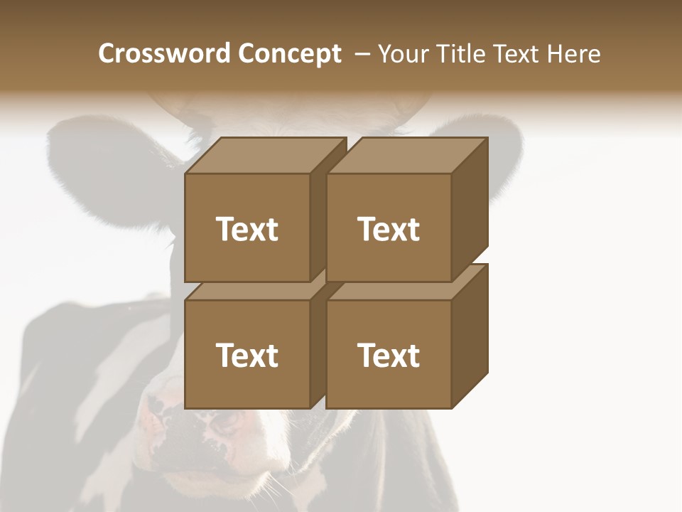 Google Images Animals PowerPoint Template