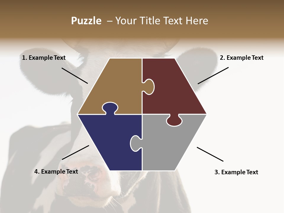 Google Images Animals PowerPoint Template