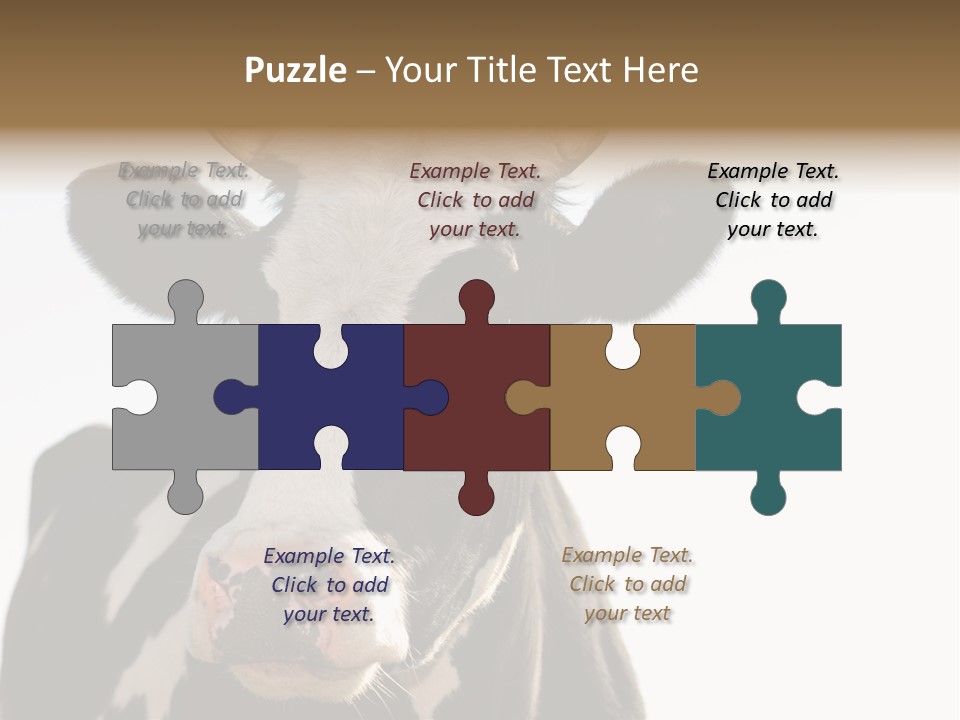 Google Images Animals PowerPoint Template