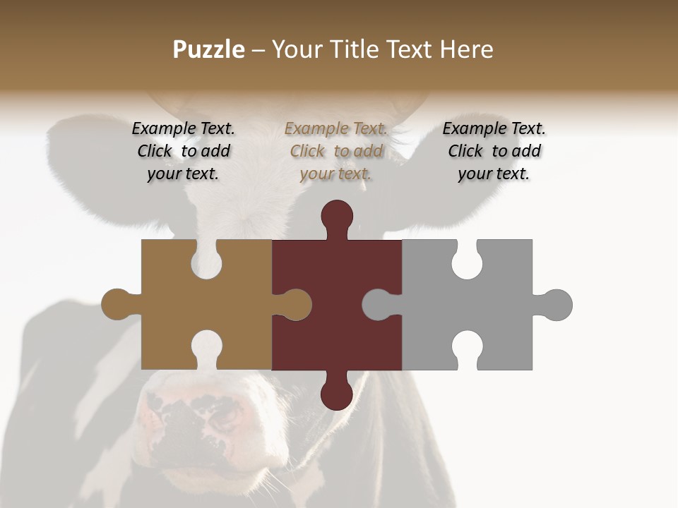 Google Images Animals PowerPoint Template