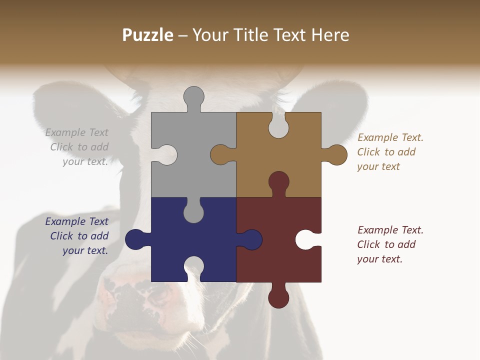 Google Images Animals PowerPoint Template