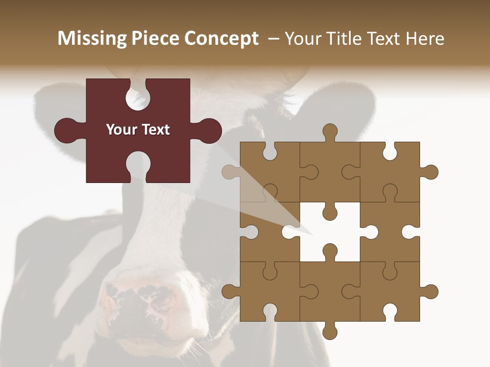 Google Images Animals PowerPoint Template