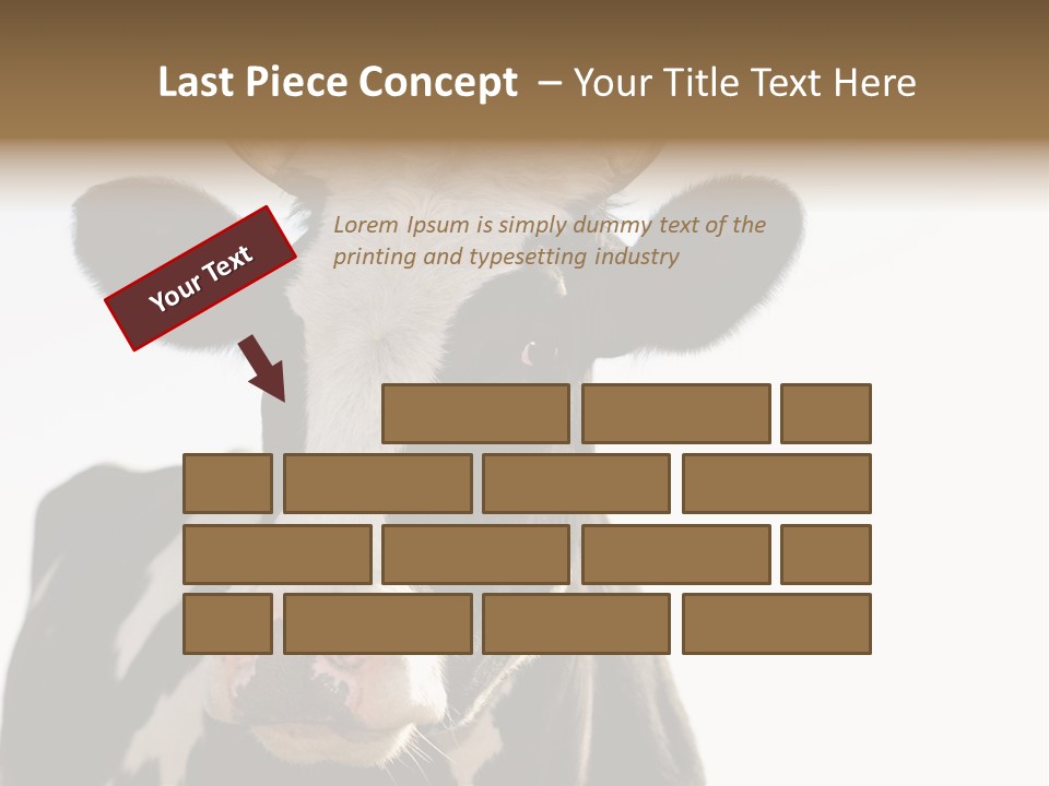 Google Images Animals PowerPoint Template