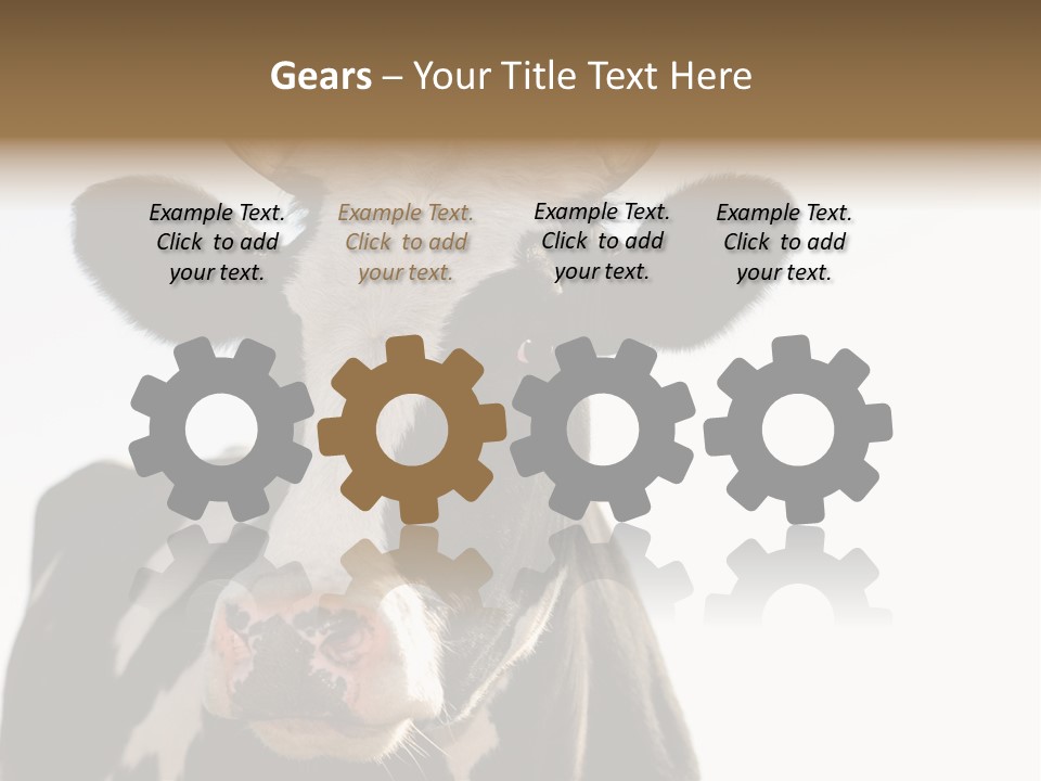 Google Images Animals PowerPoint Template