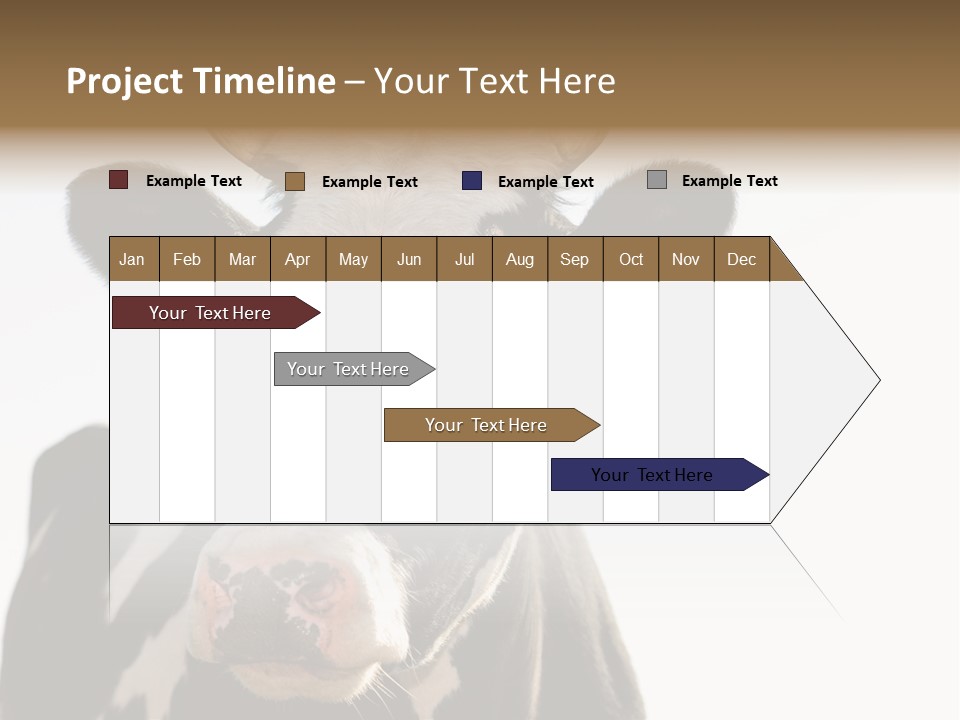 Google Images Animals PowerPoint Template