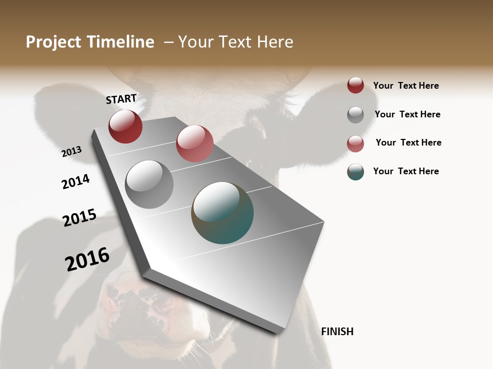 Google Images Animals PowerPoint Template