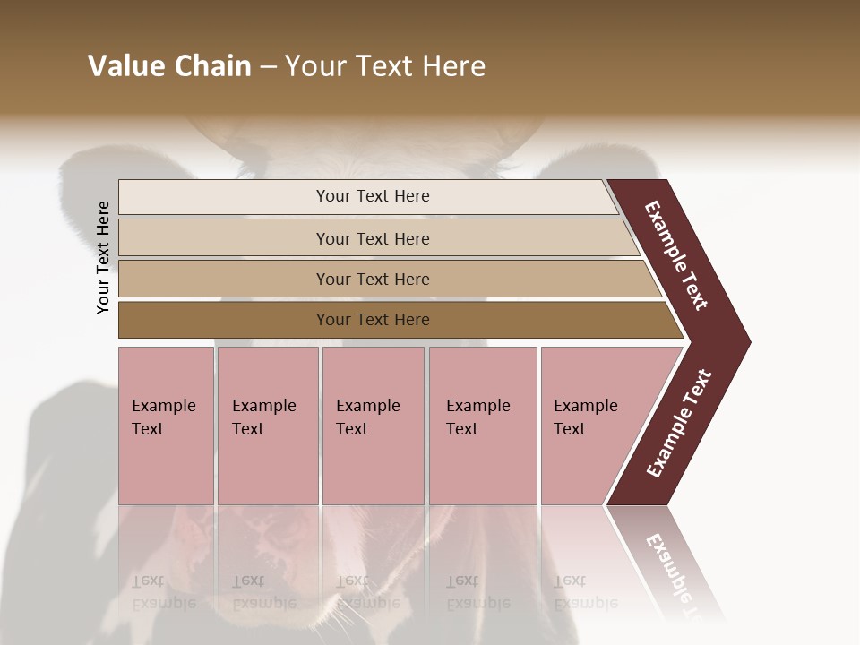 Google Images Animals PowerPoint Template