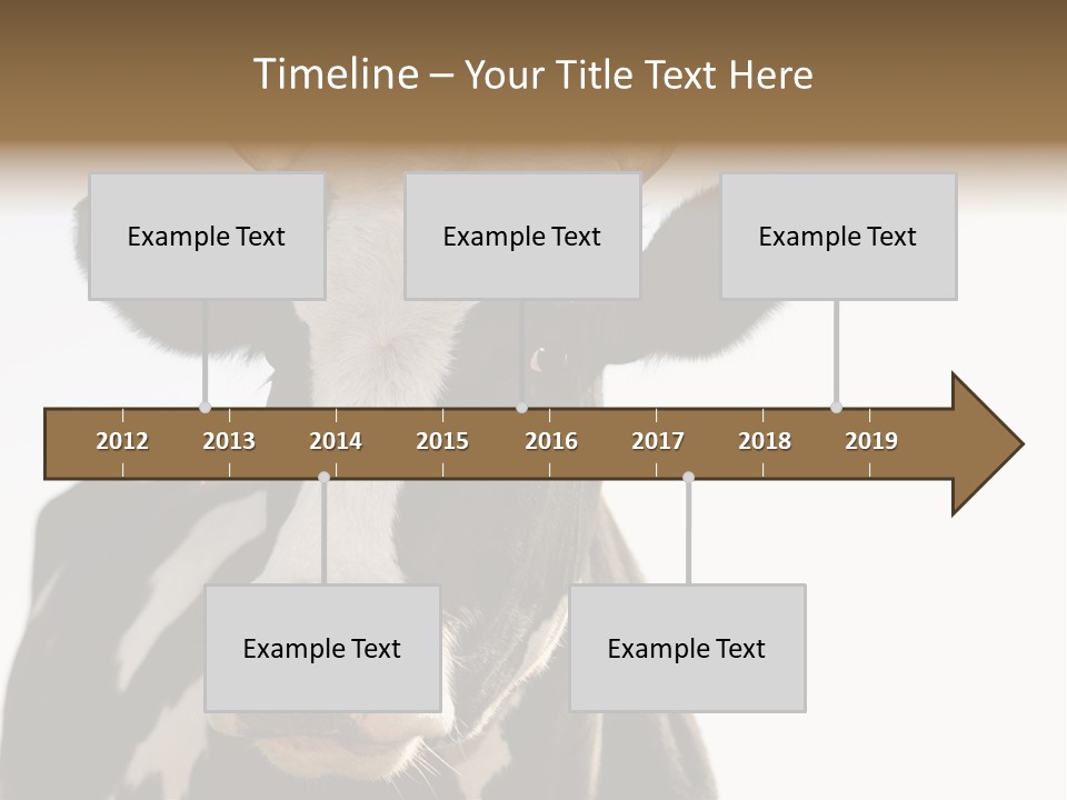 Google Images Animals PowerPoint Template