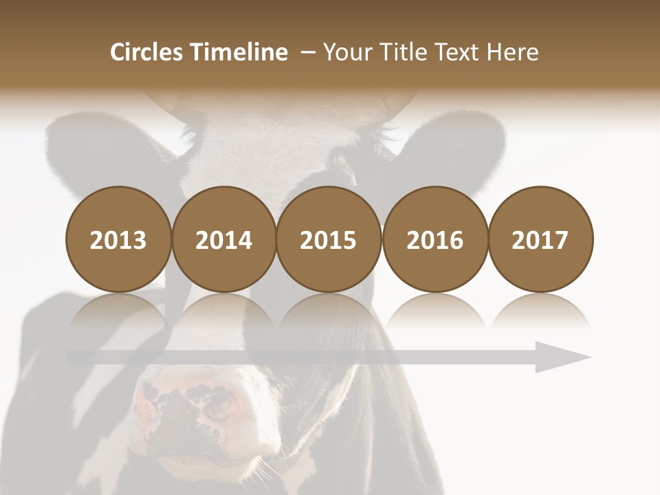 Google Images Animals PowerPoint Template