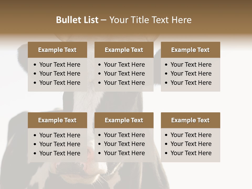 Google Images Animals PowerPoint Template