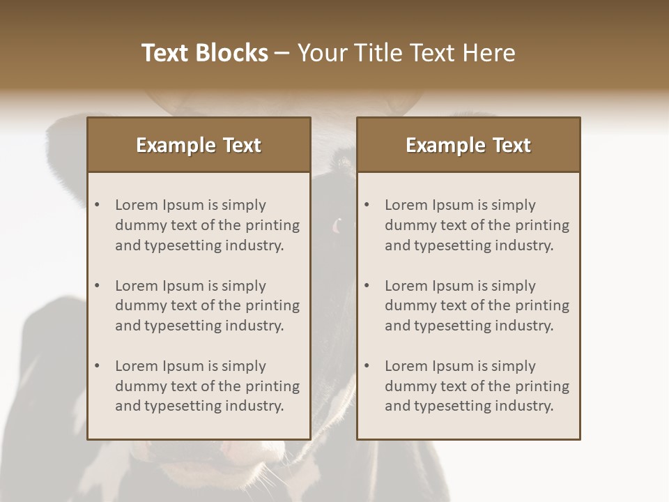 Google Images Animals PowerPoint Template