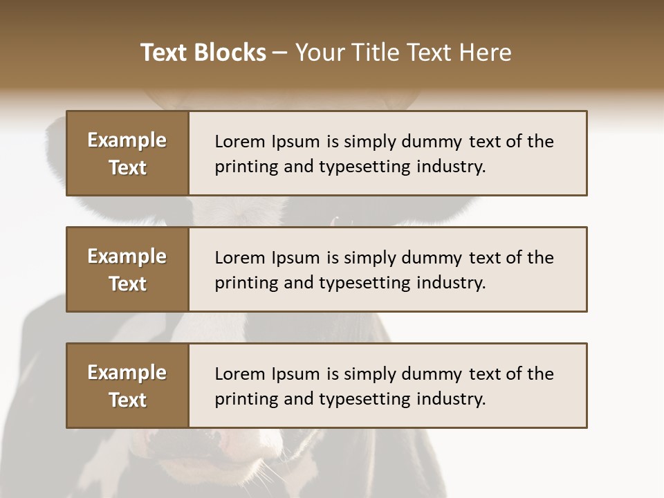 Google Images Animals PowerPoint Template