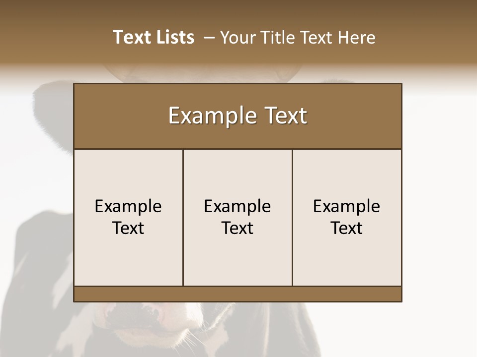Google Images Animals PowerPoint Template