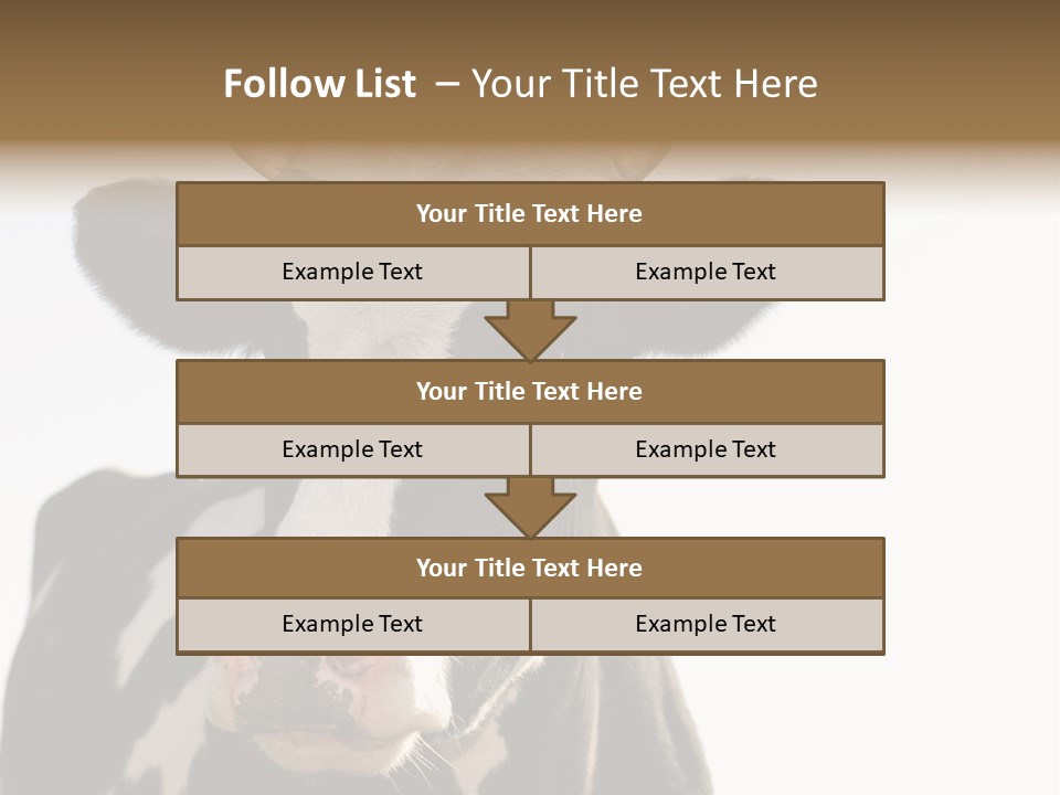 Google Images Animals PowerPoint Template
