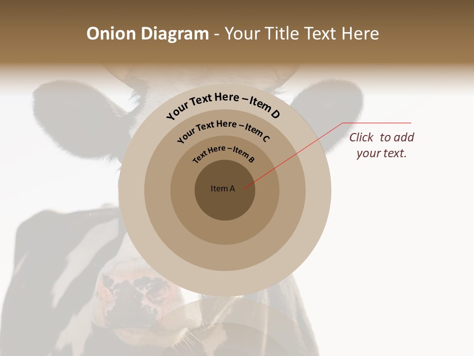 Google Images Animals PowerPoint Template