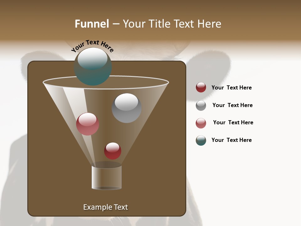 Google Images Animals PowerPoint Template