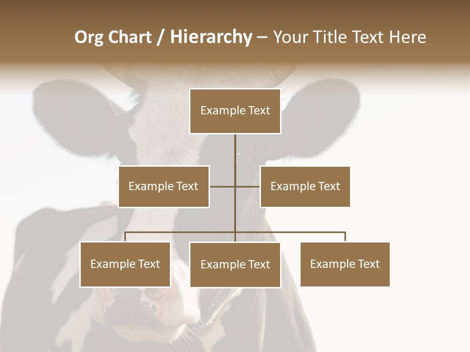 Google Images Animals PowerPoint Template