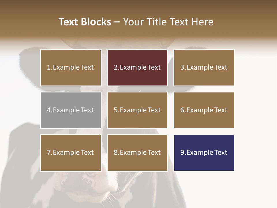 Google Images Animals PowerPoint Template