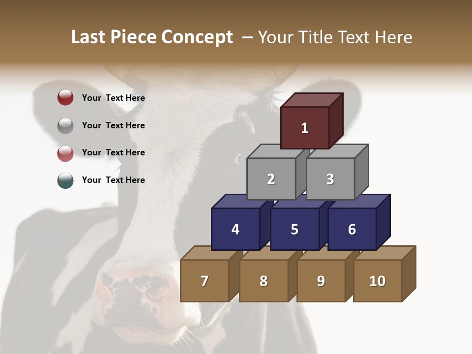 Google Images Animals PowerPoint Template