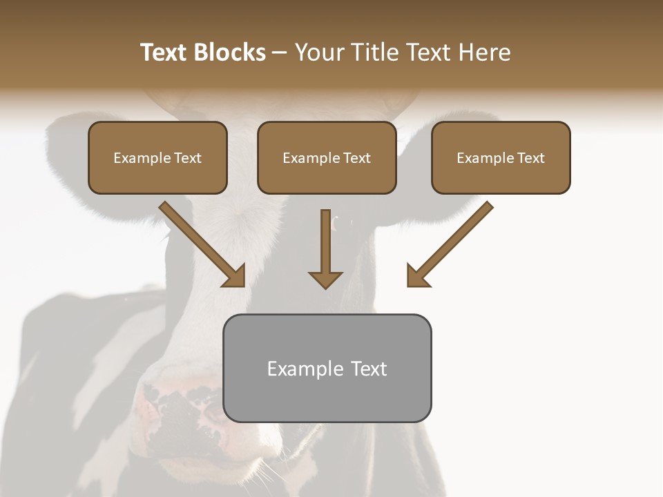 Google Images Animals PowerPoint Template