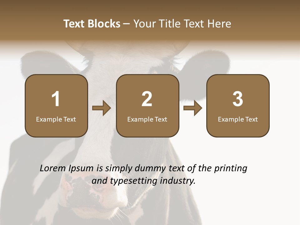 Google Images Animals PowerPoint Template