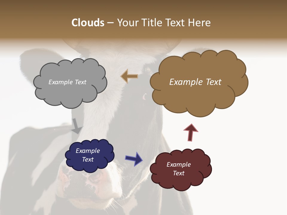 Google Images Animals PowerPoint Template