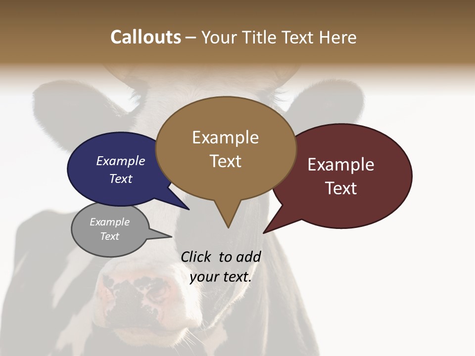 Google Images Animals PowerPoint Template