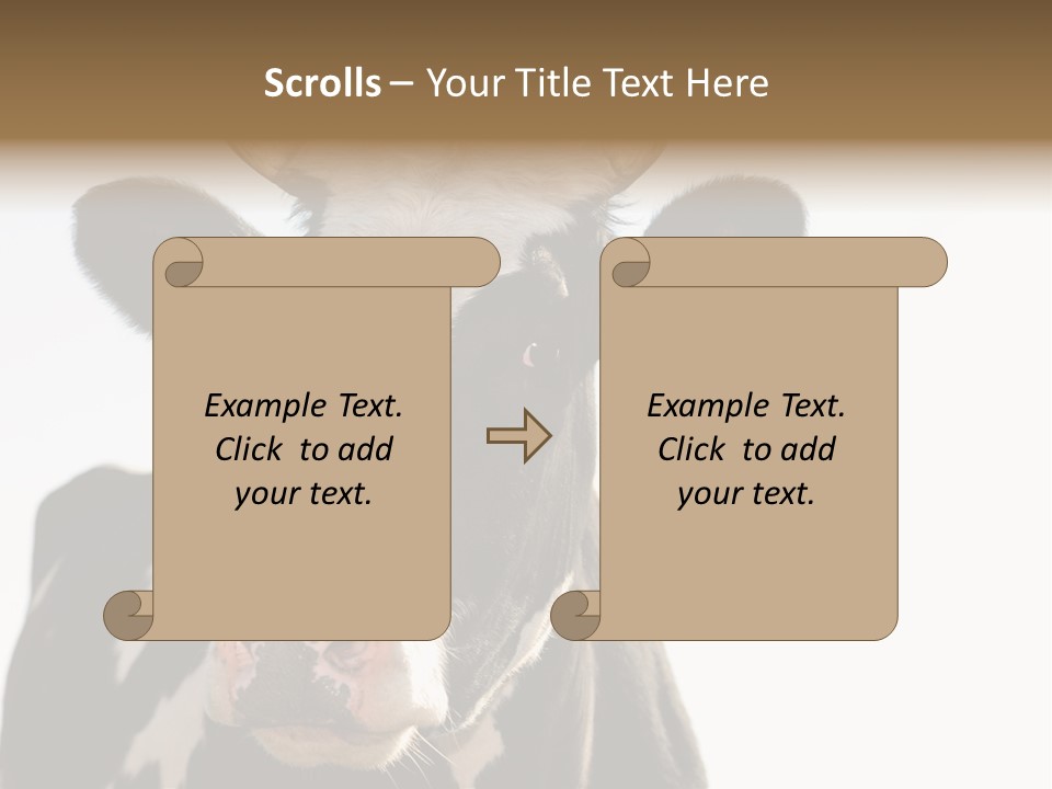 Google Images Animals PowerPoint Template