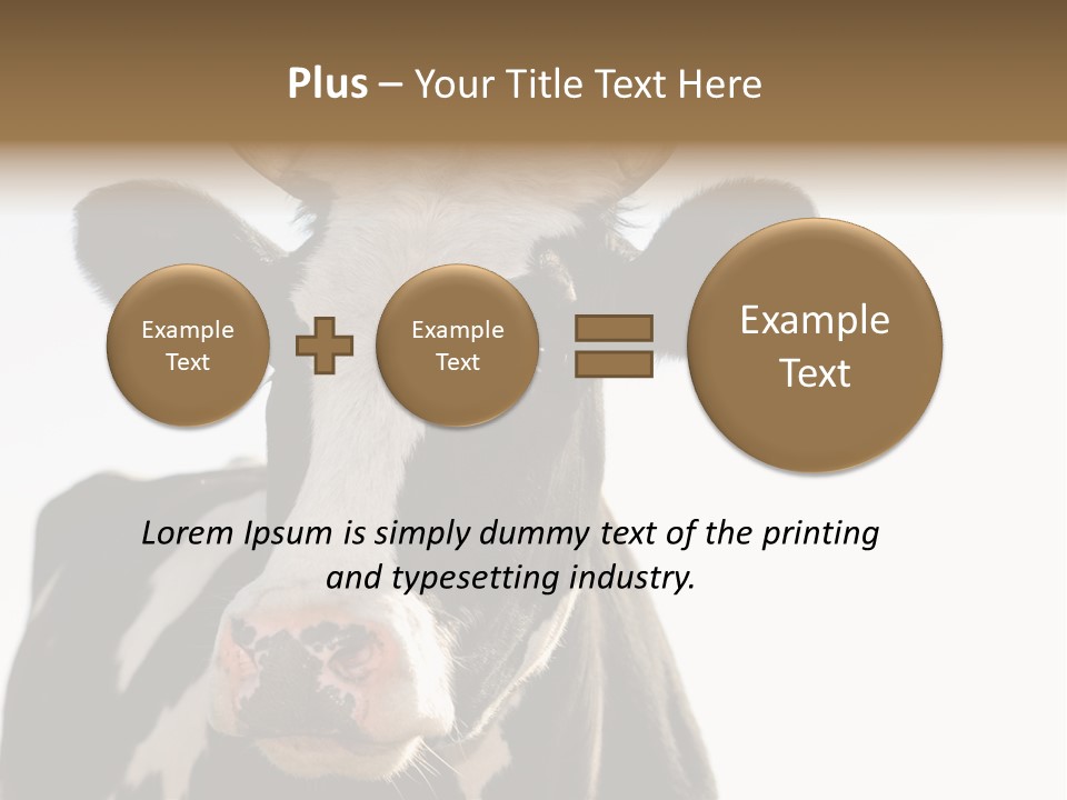 Google Images Animals PowerPoint Template