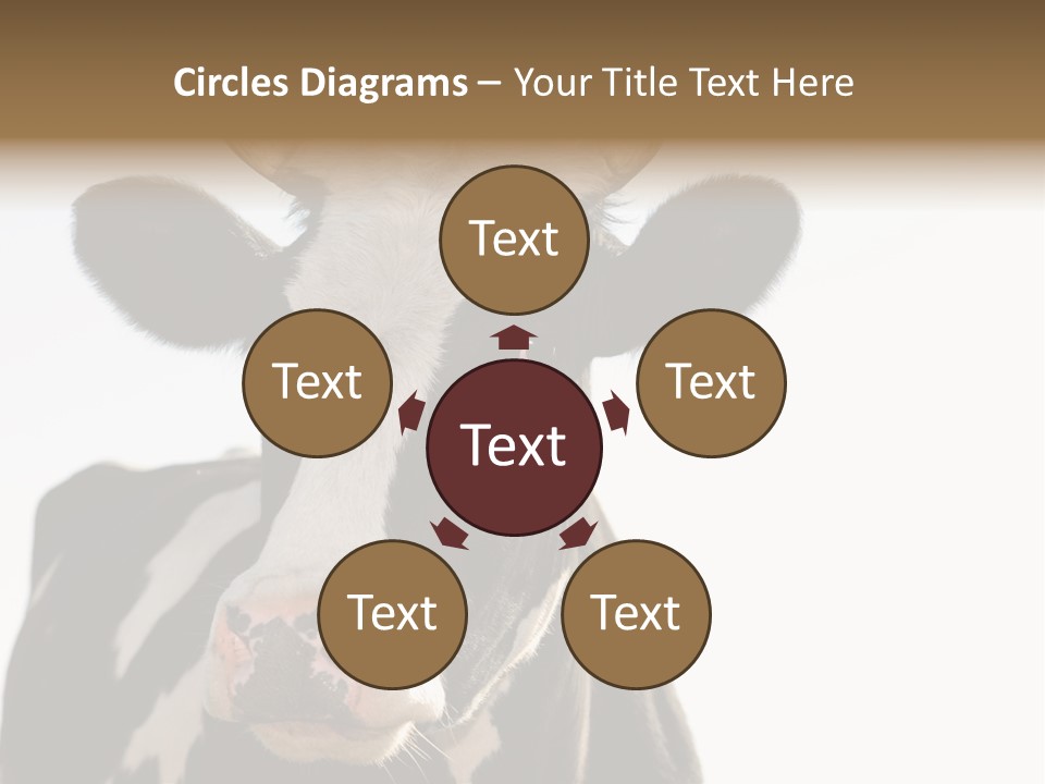 Google Images Animals PowerPoint Template