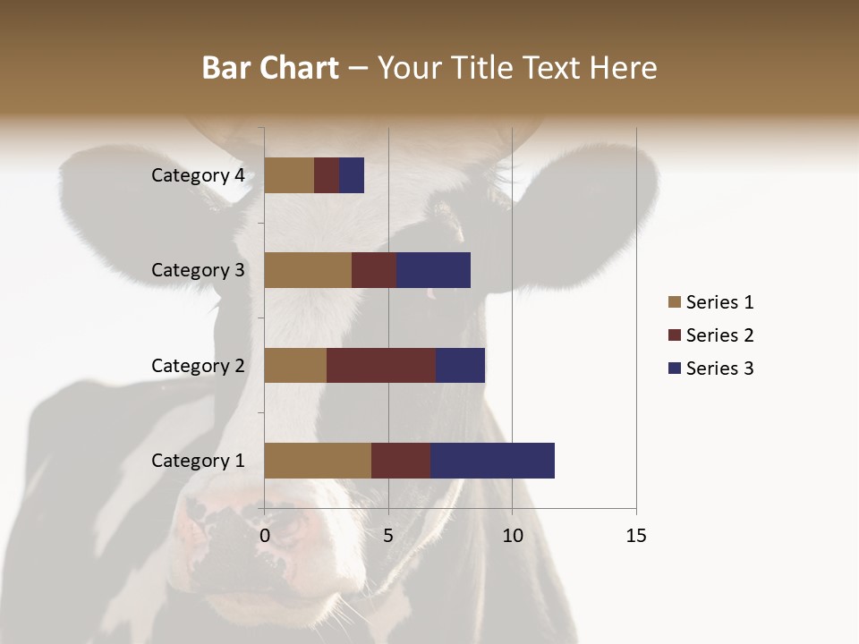 Google Images Animals PowerPoint Template