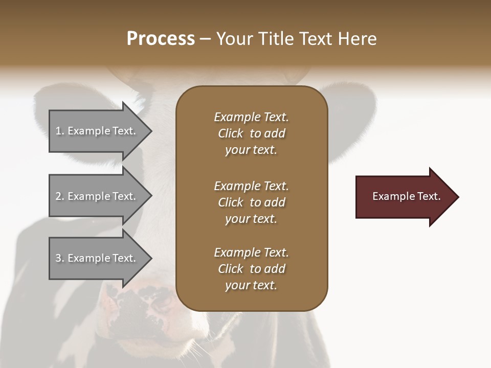 Google Images Animals PowerPoint Template