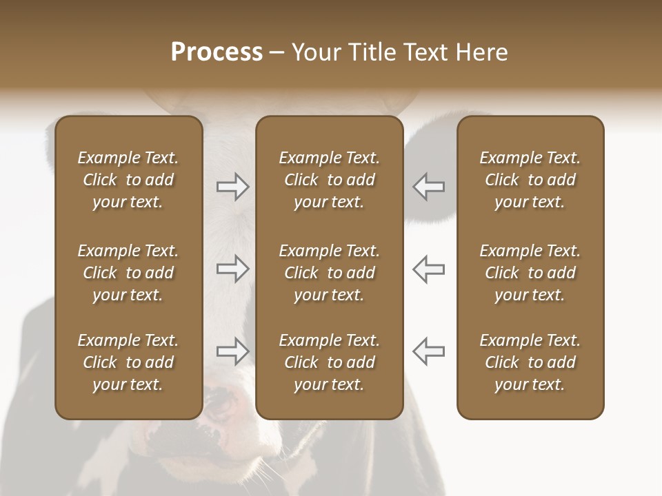 Google Images Animals PowerPoint Template