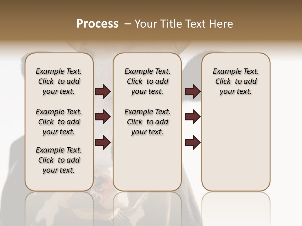 Google Images Animals PowerPoint Template