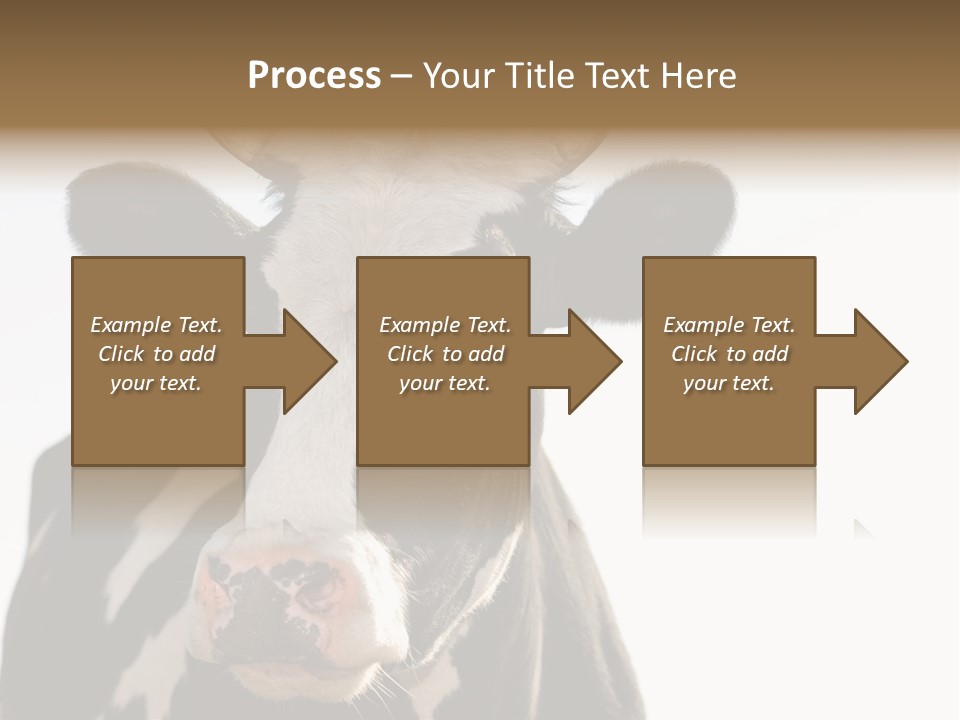 Google Images Animals PowerPoint Template